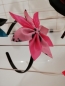 Preview: Latex Accessories: headbands & hair clips