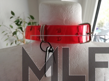 pvc halsband mit d-ring und leine mit karabinerhaken in rot bdsm goth dark fashion