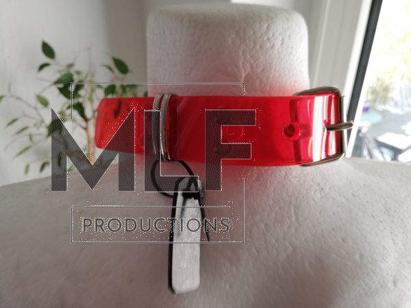 pvc halsband mit d-ring und leine mit karabinerhaken in rot bdsm goth dark fashion