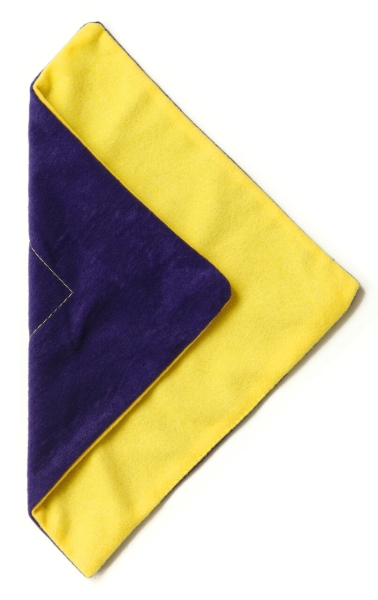 ViviWipe Poliertuch 25x25cm